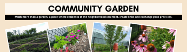 Community Garden News